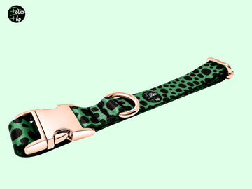 Classic Collection - Clover Green Collar