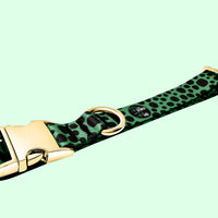 Classic Collection - Clover Green Collar