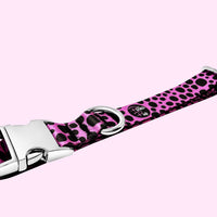 Classic Collection - Flamingo Pink Collar