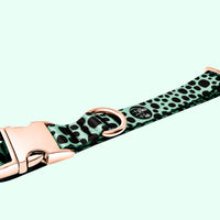 Classic Collection - Spearmint Collar