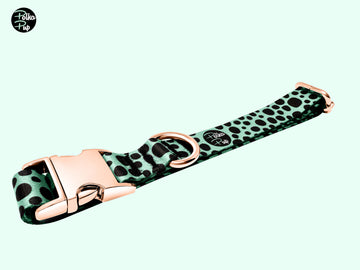 Classic Collection - Spearmint Collar