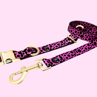 Classic Collection - Flamingo Pink Leash & Collar Combo