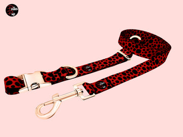 Classic Collection - Red Hot Leash & Collar Combo