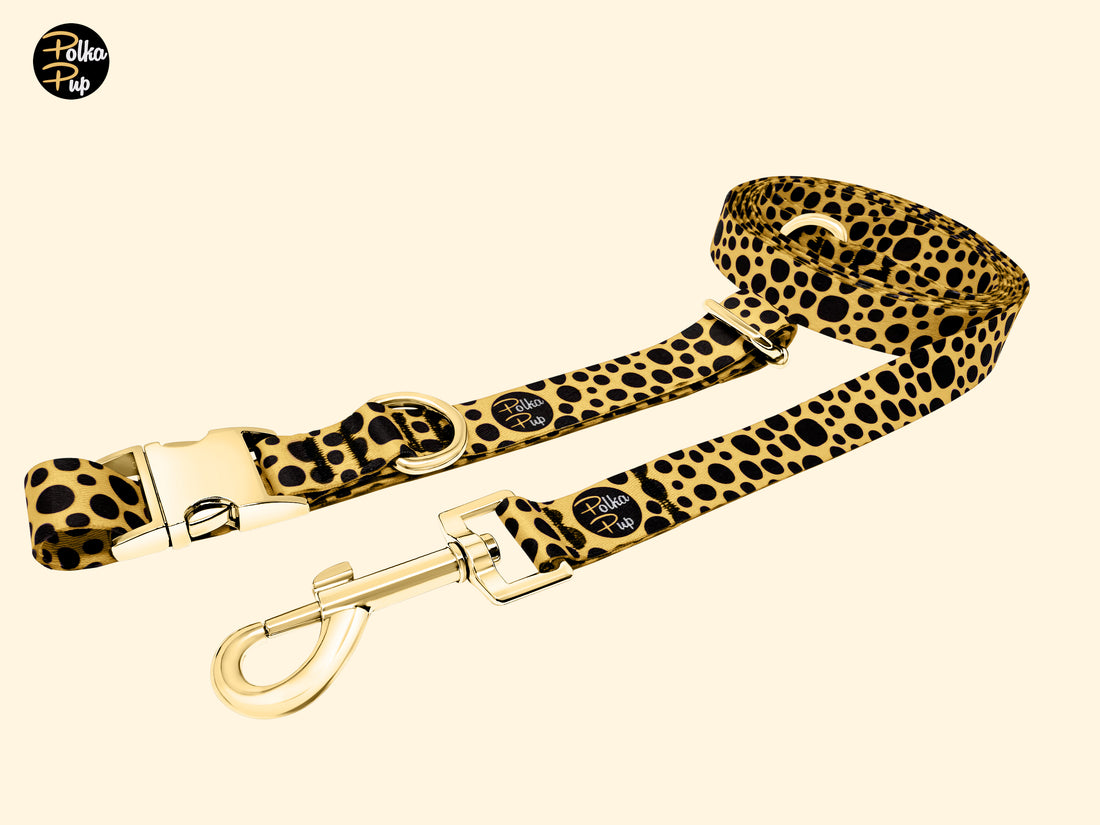 Classic Collection - Honeygold Leash & Collar Combo