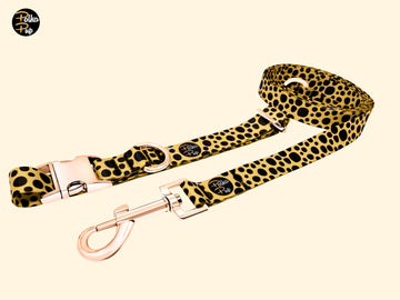Classic Collection - Honeygold Leash & Collar Combo