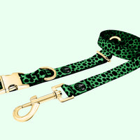 Classic Collection - Clover Green Leash & Collar Combo