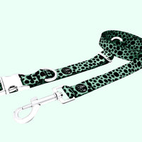 Classic Collection - Spearmint Leash & Collar Combo