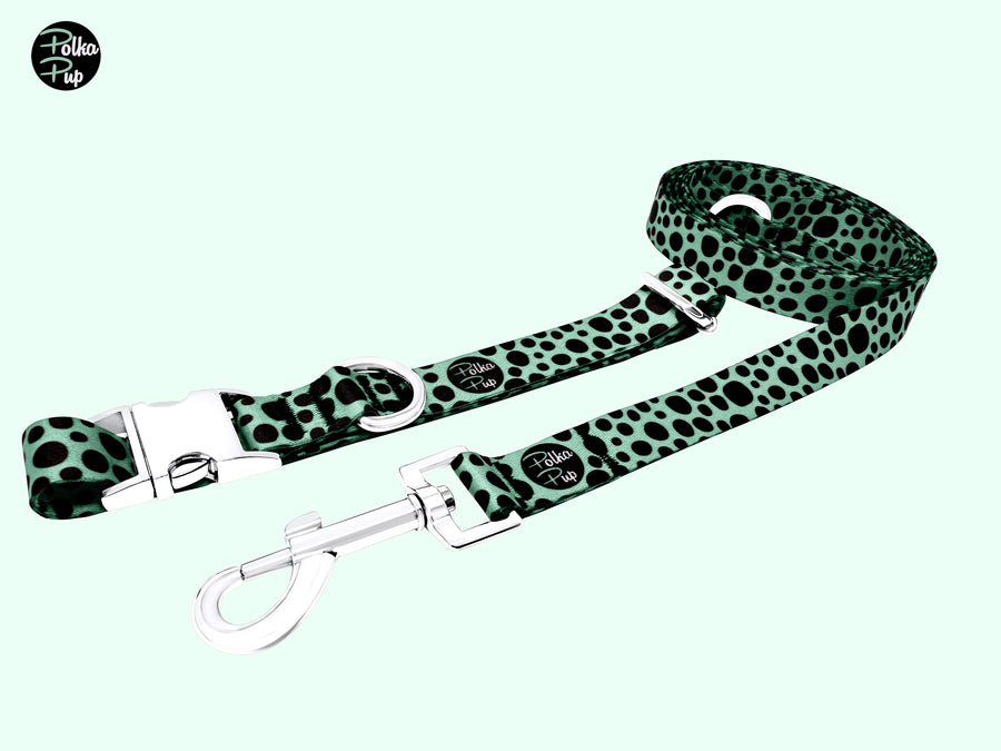 Classic Collection - Spearmint Leash & Collar Combo