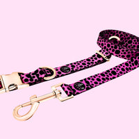 Classic Collection - Flamingo Pink Leash & Collar Combo