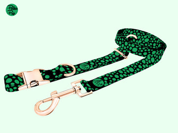 Midnight Collection - Clover Green Leash & Collar Combo