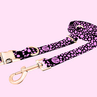 Midnight Collection - Flamingo Pink Leash & Collar Combo