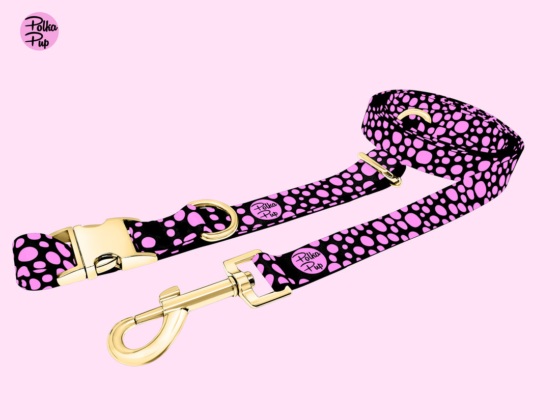 Midnight Collection - Flamingo Pink Leash & Collar Combo