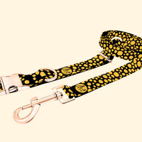 Midnight Collection - Honeygold Leash & Collar Combo