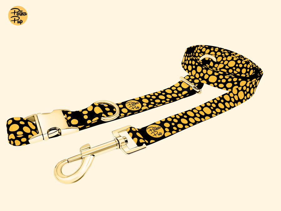 Midnight Collection - Honeygold Leash & Collar Combo