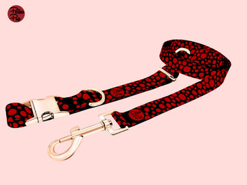 Midnight Collection - Red Hot Leash & Collar Combo