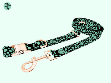 Midnight Collection - Spearmint Leash & Collar Combo