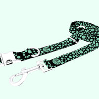 Midnight Collection - Spearmint Leash & Collar Combo