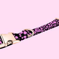 Midnight Collection - Flamingo Pink Collar