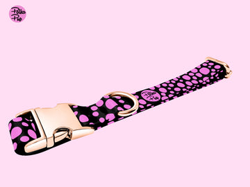 Midnight Collection - Flamingo Pink Collar